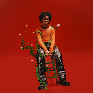 小布小布我要看空姐A片
