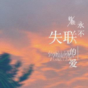 小布小布我要看空姐A片
