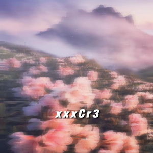 小布小布我要看空姐A片
