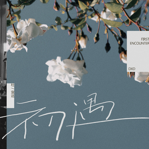 小布小布我要看空姐A片
