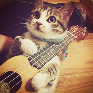 小布小布我要看空姐A片
